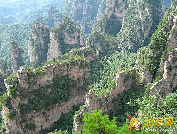 �첨�����ĵ���ǽ.jpg